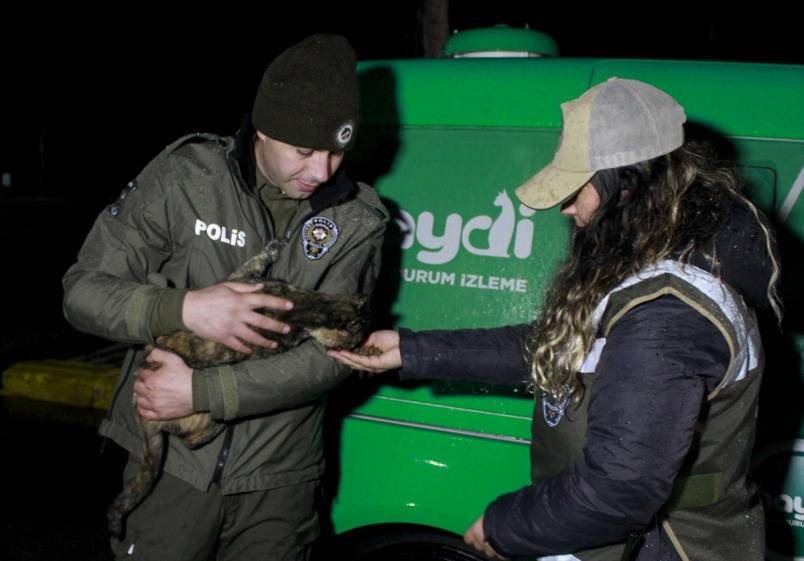 Uşak polisi sokak hayvanlarını besledi 2