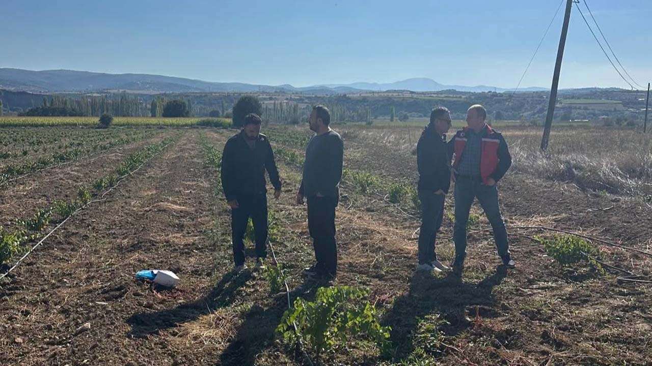 Uşak'ta Bağcılıkta Yeni Dönem, İki Köyde Üretim Başladı