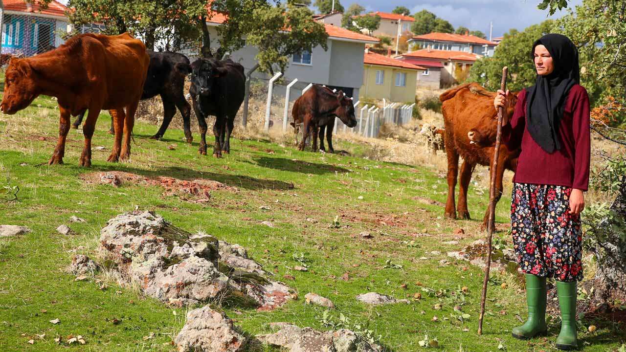 Uşak'ta İki İnekle Hayvancılığa Başlayan Mürşide Türk, Köyün "Hanımağa"sı Oldu