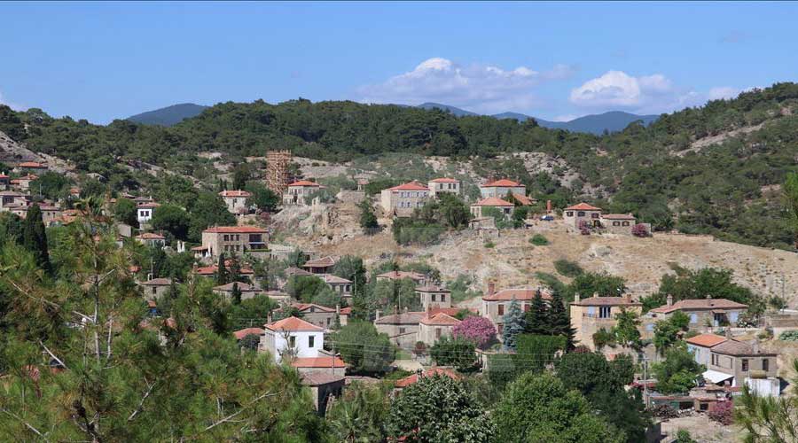 Adatepe Köyü'nün tarihi taş evleri, zeytinleri, yöresel lezzetlerini keşfedin
