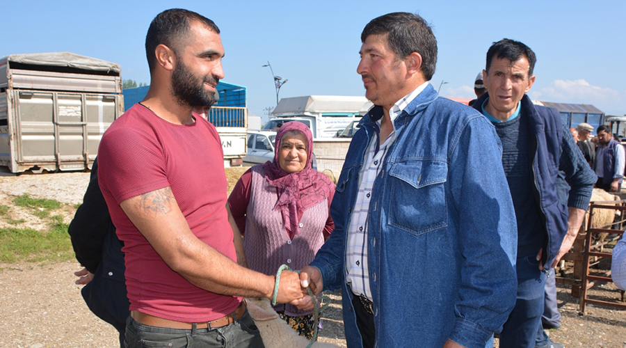 Uşak’ta kurbanlıklar görücüye çıkmaya başladı