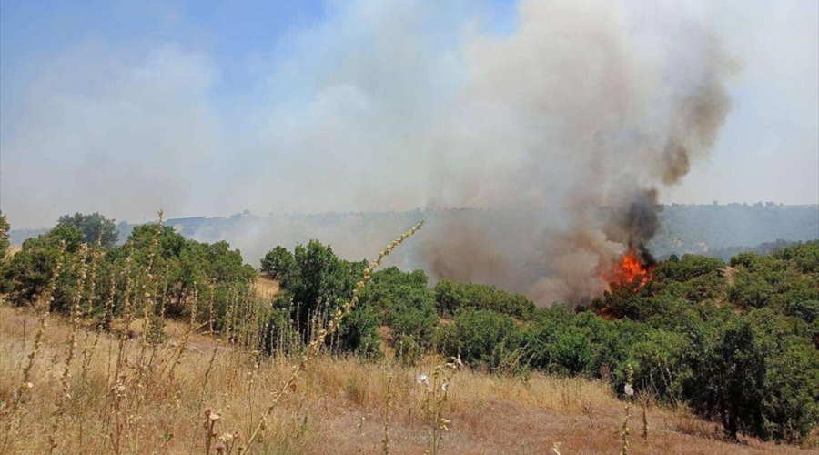 Uşak'ın Eşme ilçesinde meşelik alanda yangın çıktı