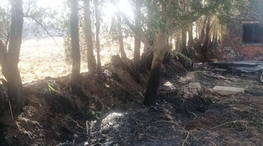 Uşak'ta meyve bahçesinde yangın çıktı