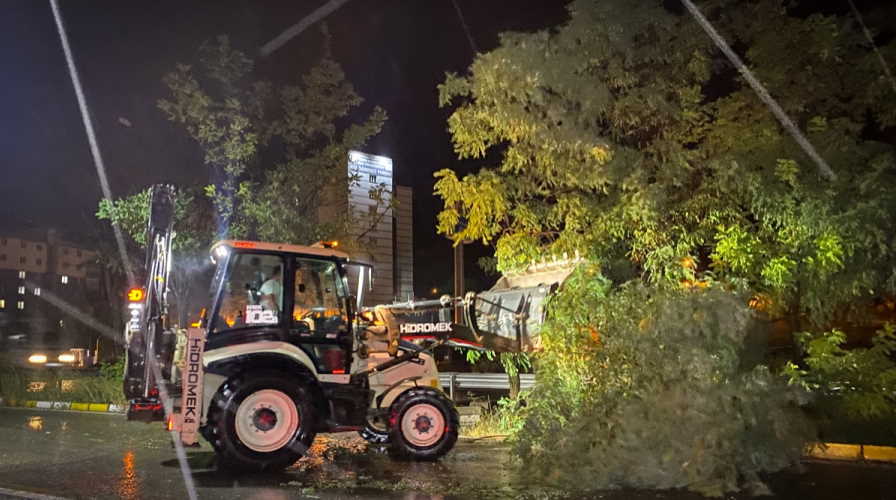 Uşak'ta fırtına ağaçları devirdi, bazı köylerde elektrik kesildi