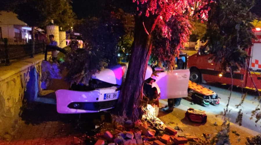 Uşak'ta otomobil ağaca çarptı! Sürücü hastaneye kaldırıldı