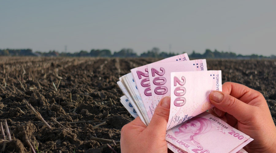 Uşak Sivaslı'da 10 adet satılık taşınmaz ilanı! İhale detayları belli oldu