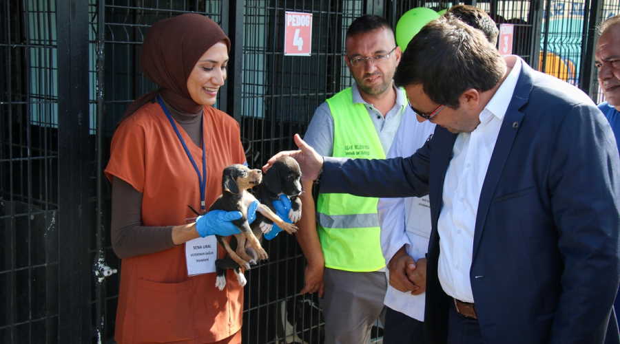 Uşak'ta 4 Ekim Dünya Hayvanları Koruma Günü etkinliği