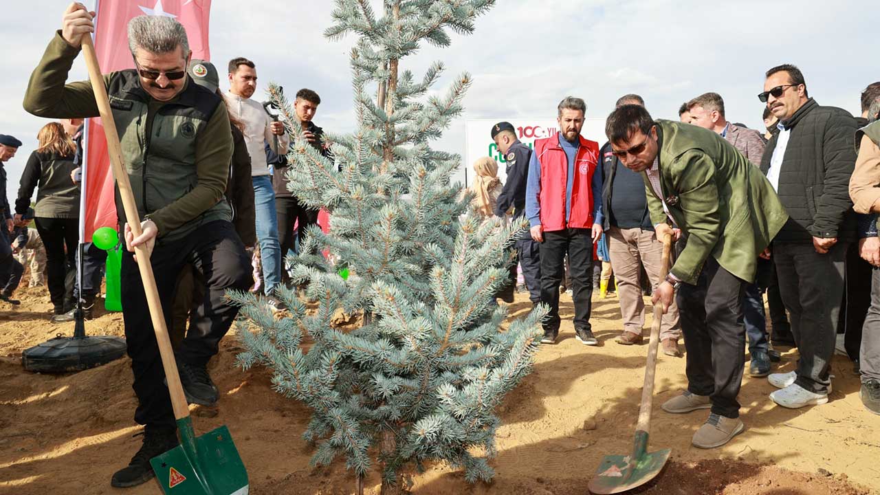 Uşak'ta 13 bin sedir fidanı toprakla buluştu