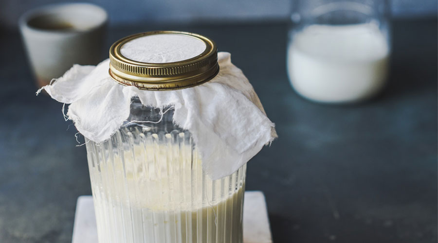 Evde Kefir Mayası Nasıl Yapılır? Malzemeleri