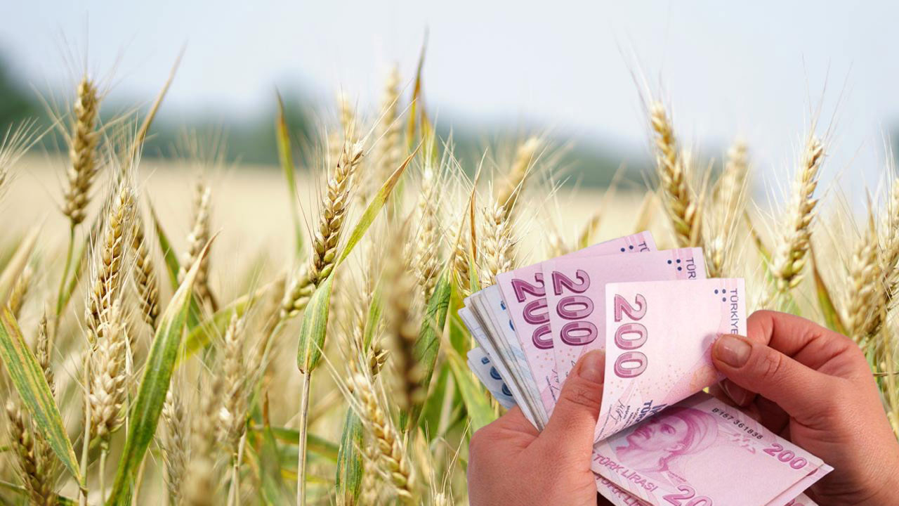 Uşak’ta kırsal kalkınma yatırımları için son başvuru tarihi yaklaşıyor