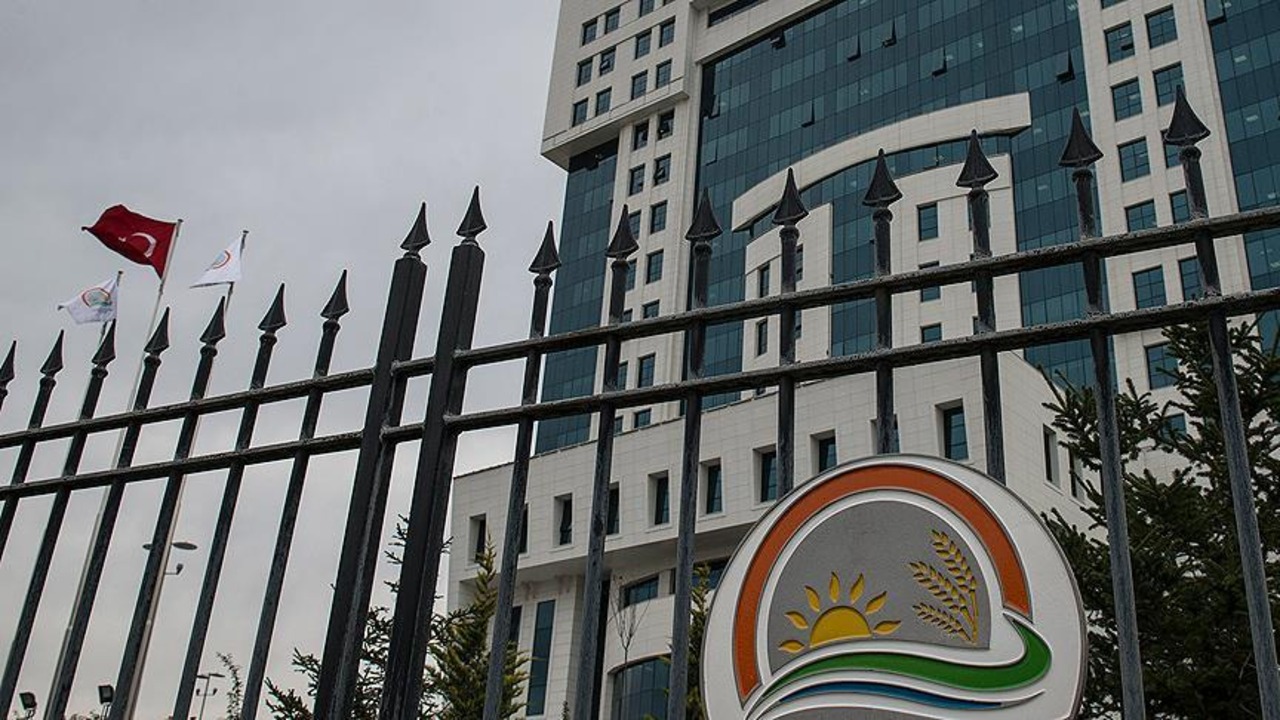Tarım ve Orman Bakanlığı’na sözleşmeli personel alınacak! Uşak için kontenjan belli oldu