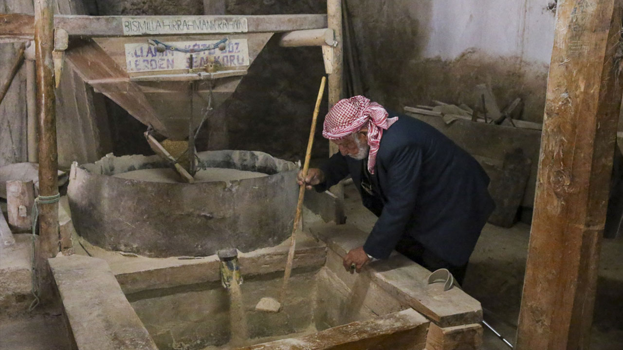 Uşaklı Şevket dede, asırlık su değirmeninde 54 yıldır buğday öğütüyor