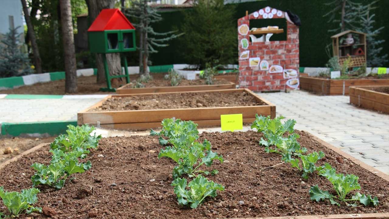 Uşak’taki Türkiye'nin İlk Agro-Kütüphanesi IFLA Ödülünü aldı