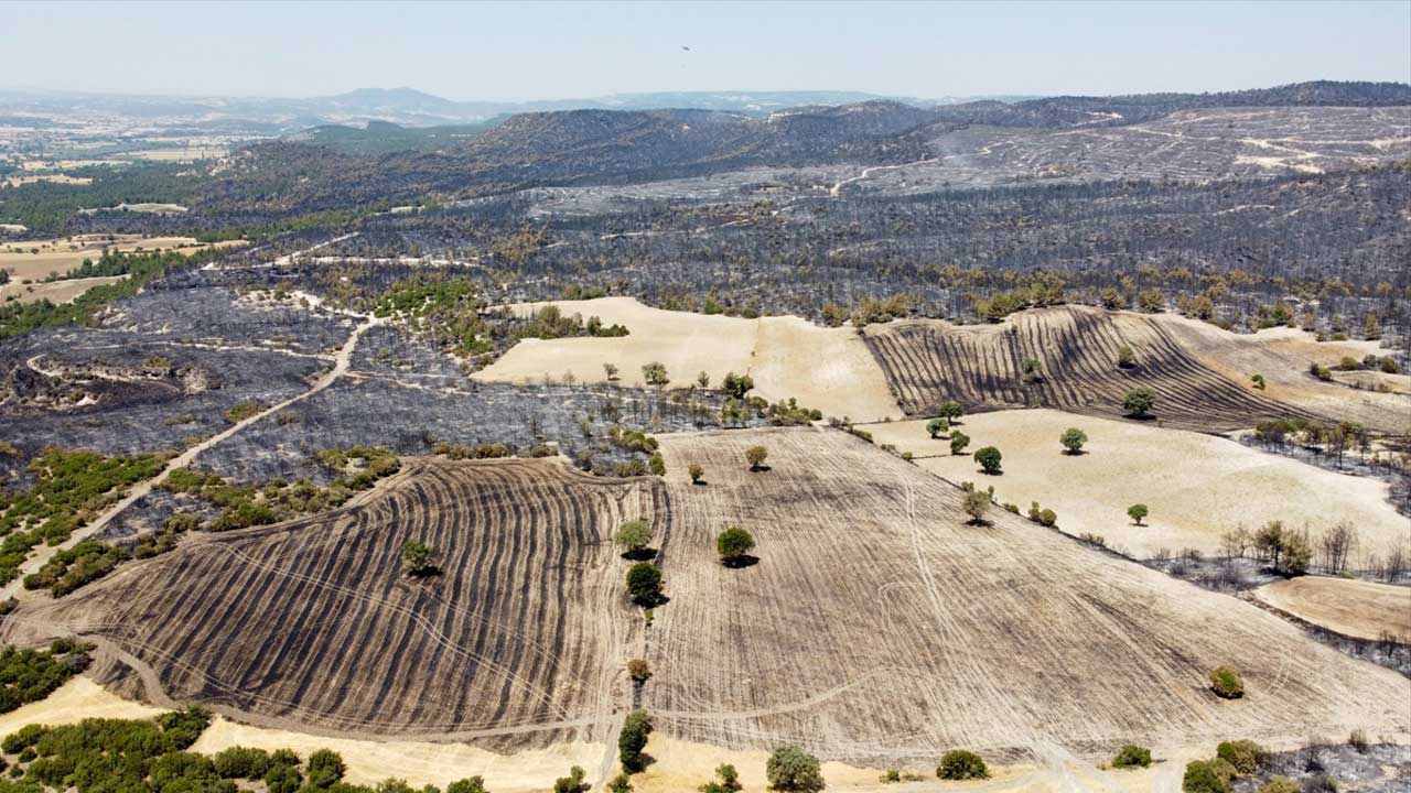 Uşak'ta 40 saatte kontrol altına alınan orman yangınında acı tablo
