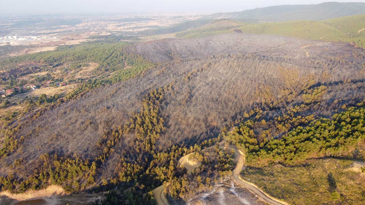 Uşak'ta iki noktada çıkan orman yangınları kontrol altına alındı