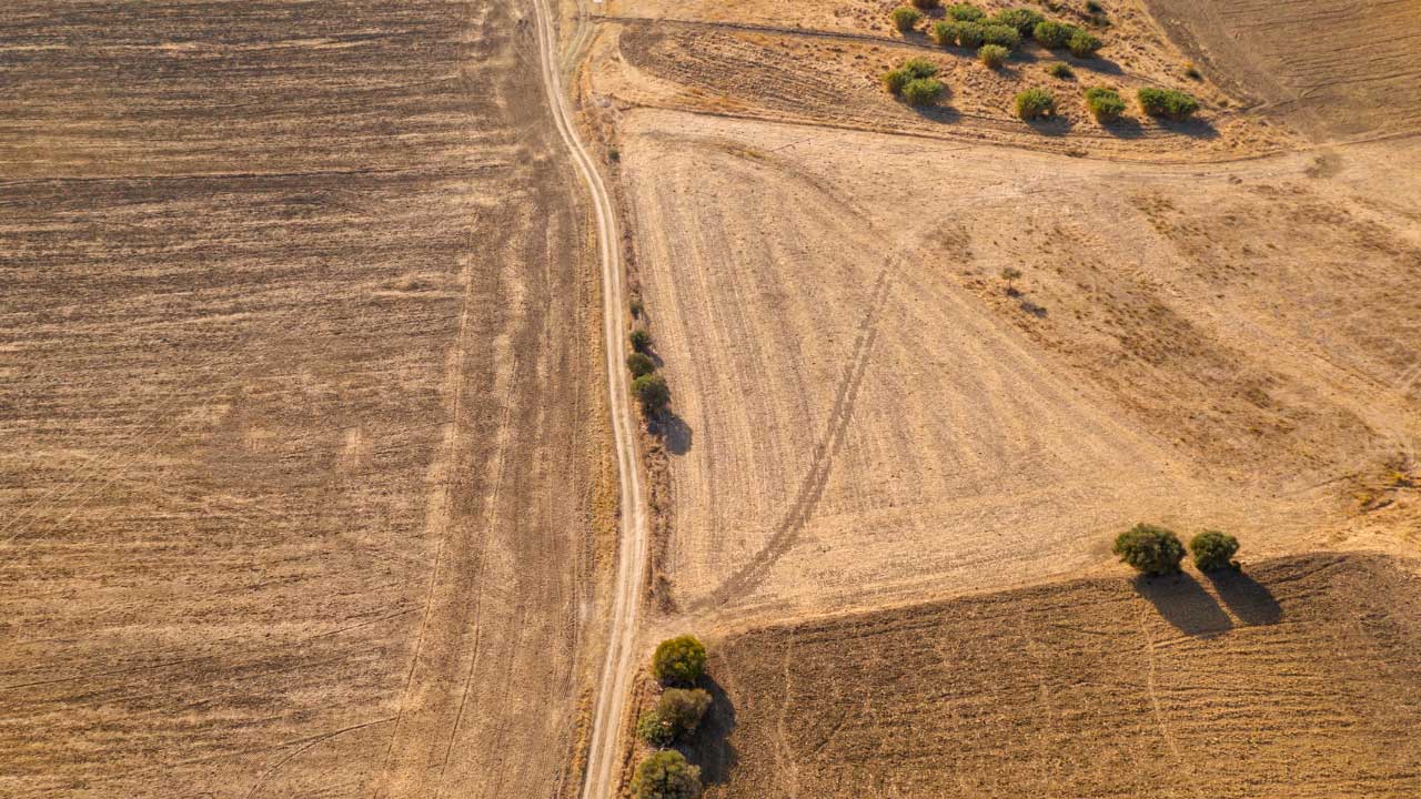 Uşak'ın Banaz ilçesinde 1.754 metrekare tarla mahkemeden satışa çıktı