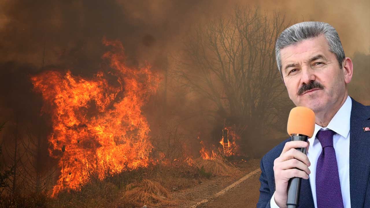 Vali Ergün: Uşak'taki 35 yangında 1179 hektar ormanlık alan zarar gördü