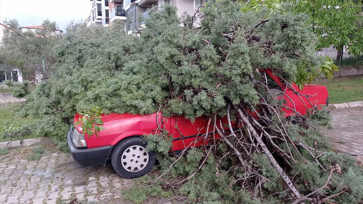 Meteoroloji Uyardı: Uşak’ta Çatı Uçması ve Ağaç Devrilmesi Riski