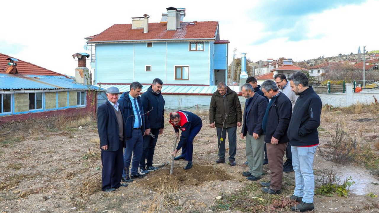 Uşak'ta kuşburnu üretimine destek