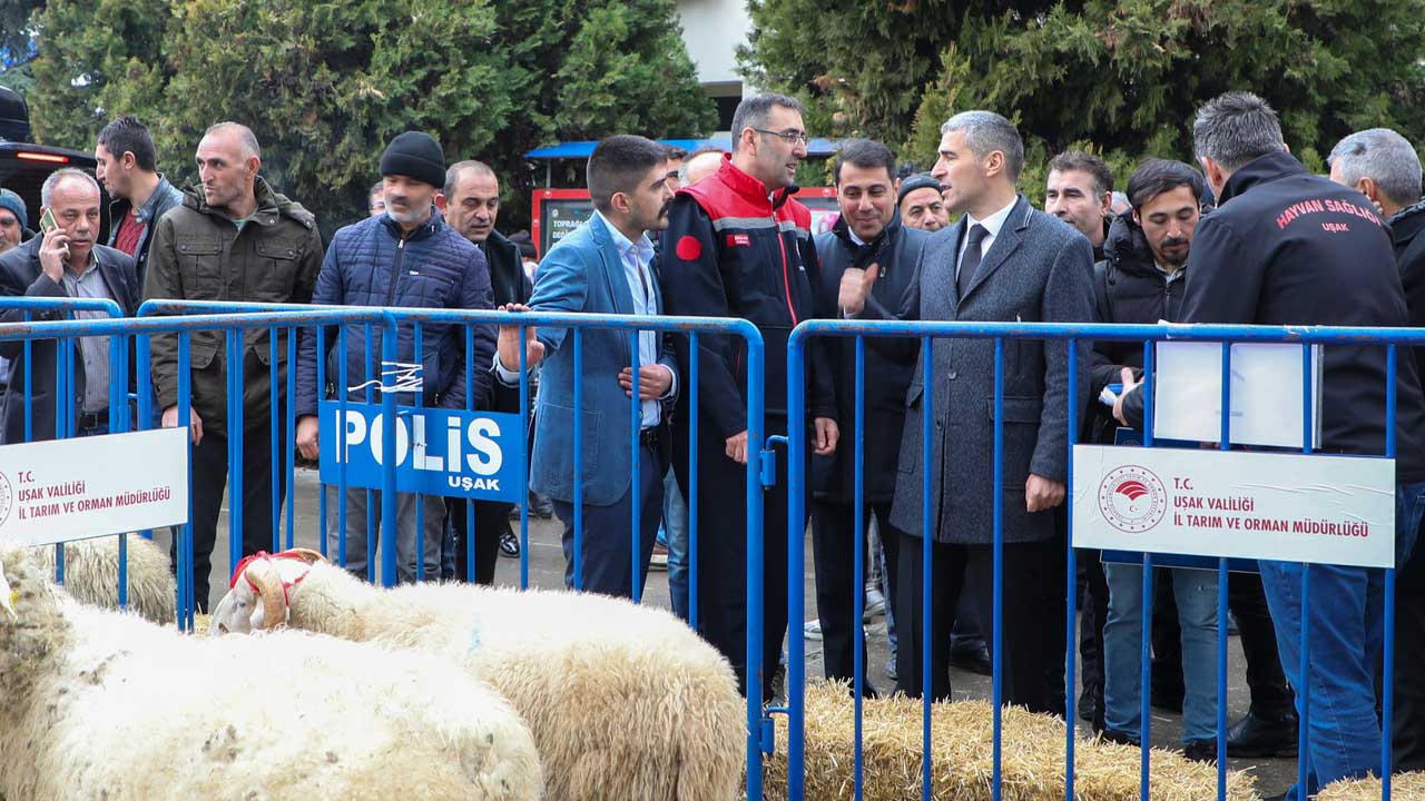 Uşak'ta küçükbaş hayvancılığa destek: İki önemli proje hayata geçti