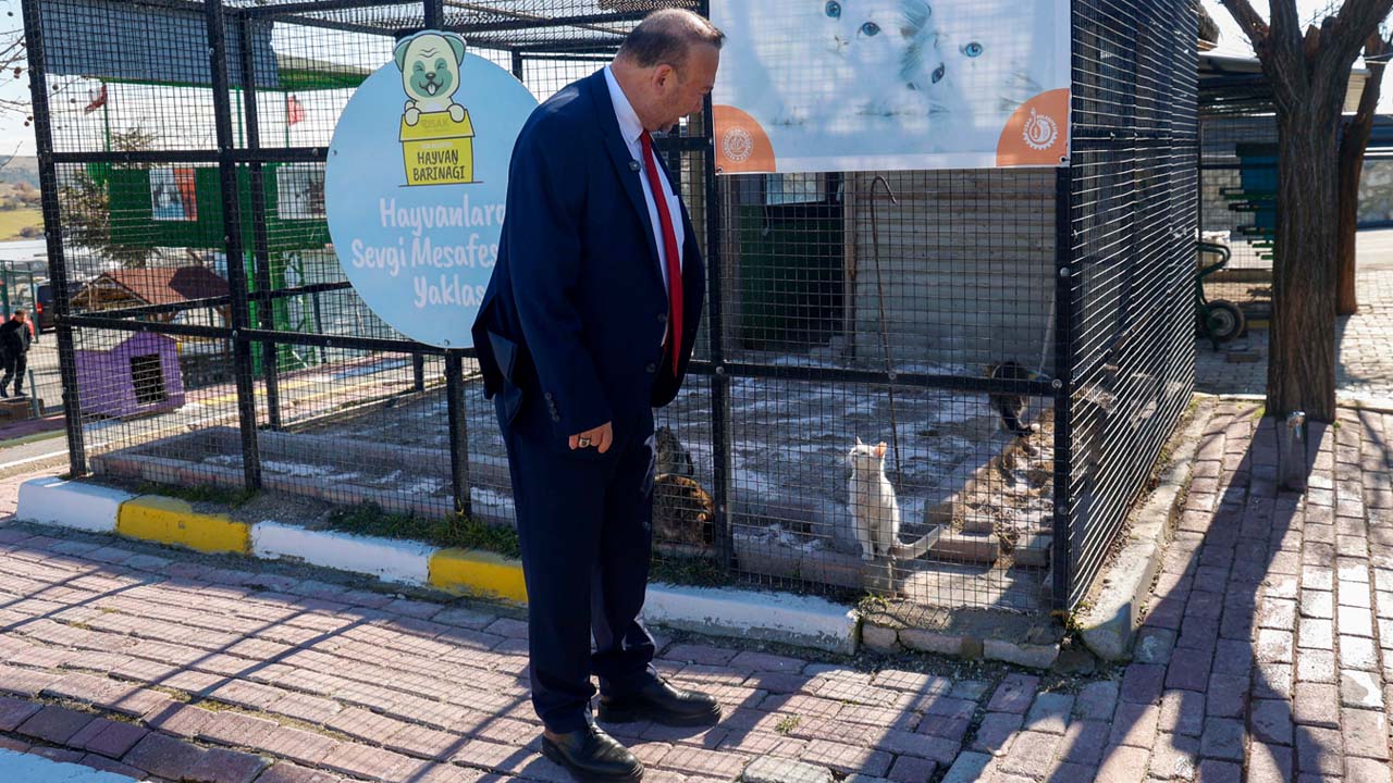Başkan Yalım: "Can dostlarımıza sahip çıkalım"
