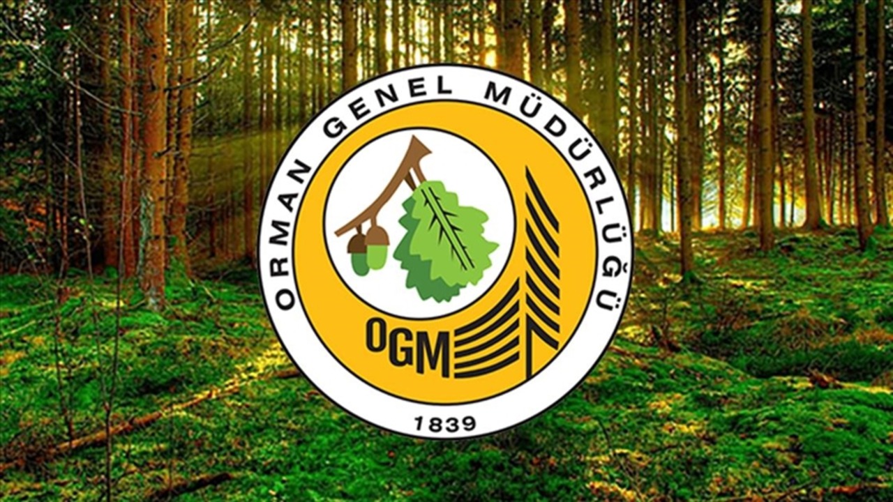Orman Genel Müdürlüğü Uşak’ta sözleşmeli destek personeli alımı yapacak