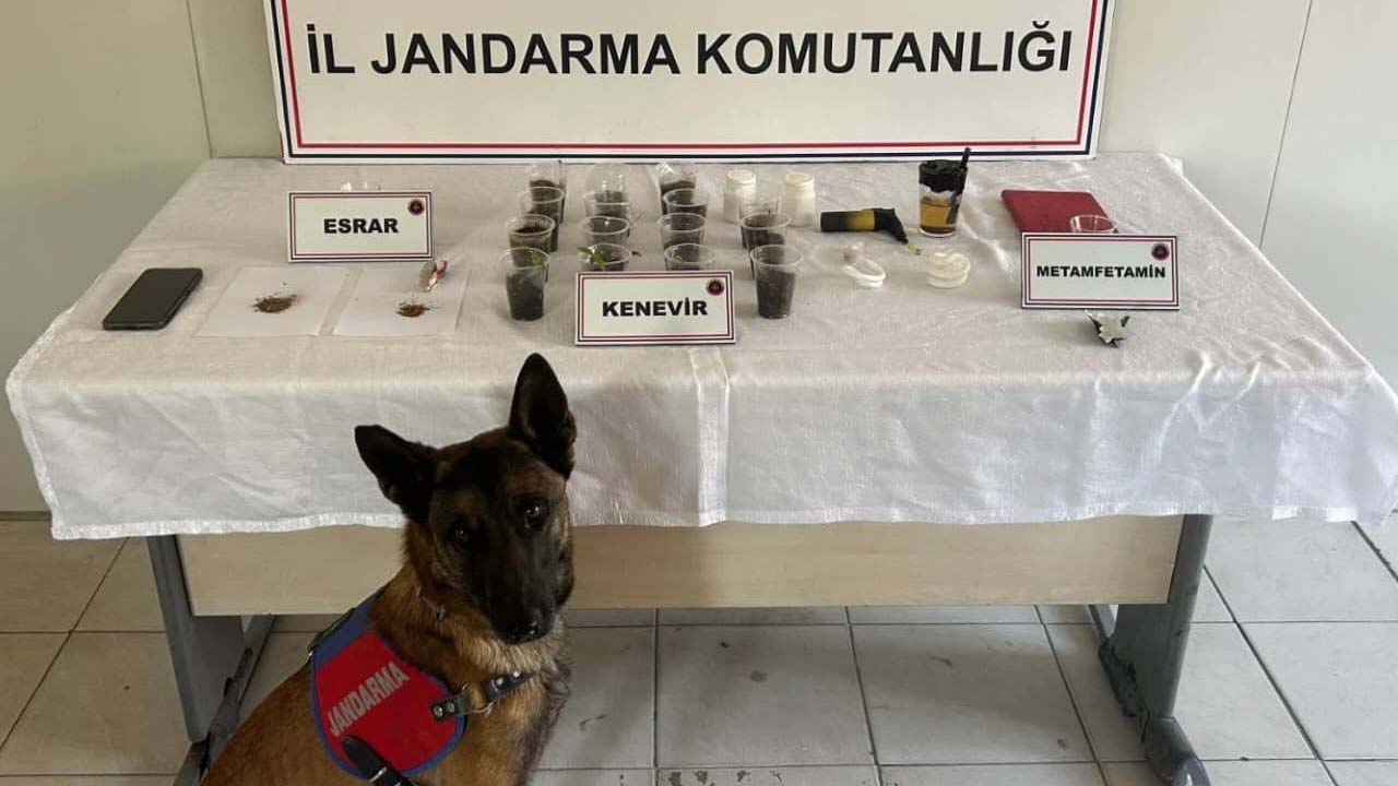 Uşak'ta uyuşturucu operasyonu 16 şüpheli yakalandı 4 kişi tutuklandı
