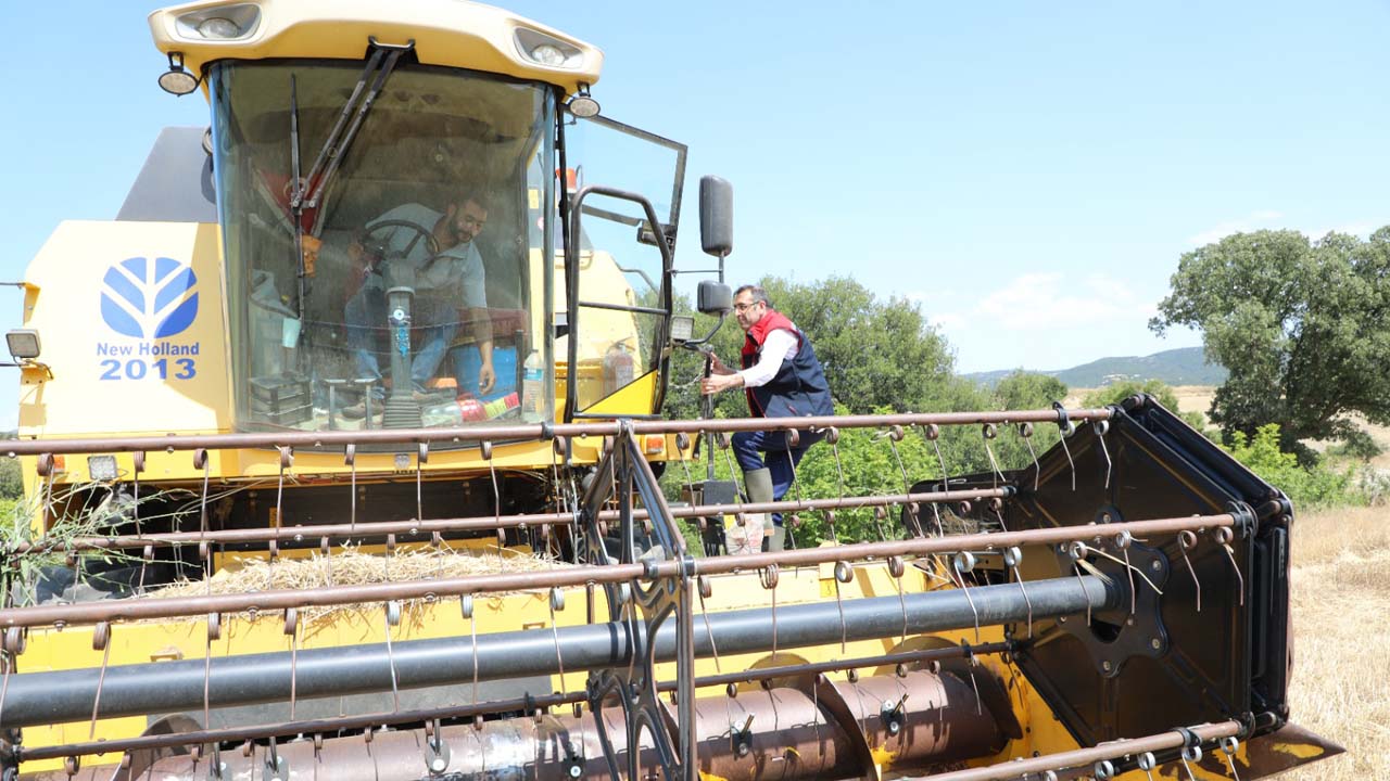 Uşak'ta hububat hasat sezonu başladı, 400 bin ton rekolte bekleniyor