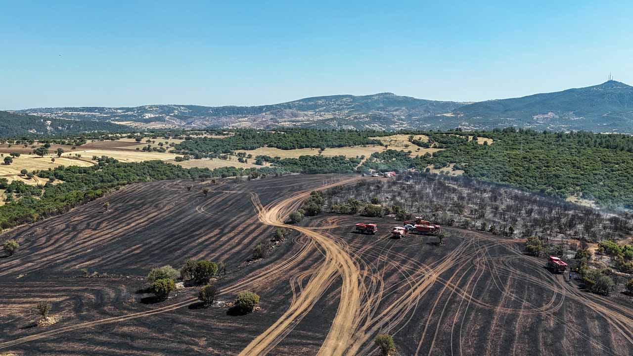 Çınarcık köyü yakınlarındaki yangın kontrol altına alındı