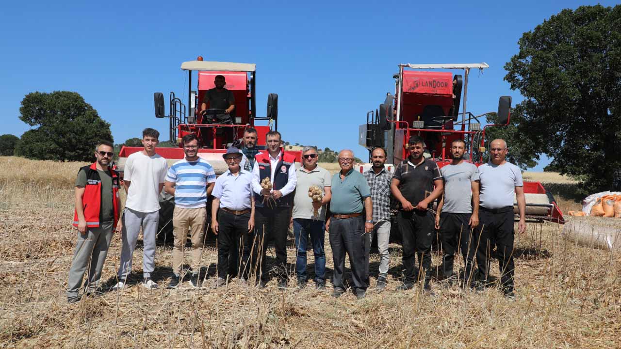 Uşak’ta bu yıl 2.620 ton haşhaş tohumu üretimi bekleniyor