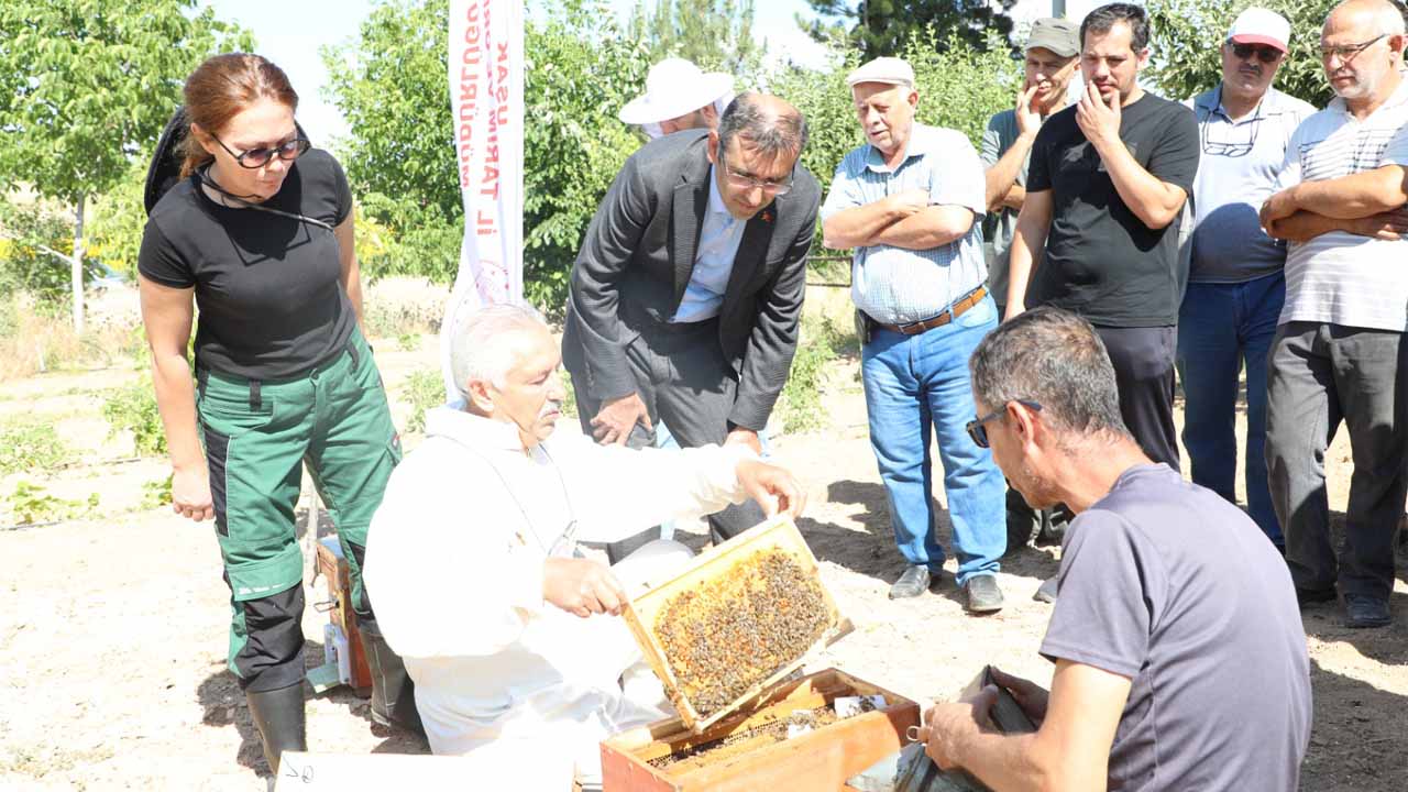 Uşak’ta Arıcılık Ürünleri Projesi ile ana arılar üreticilere dağıtılıyor