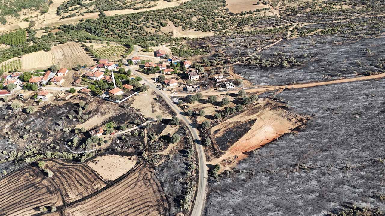 Bakan Yerlikaya, Uşak’taki orman yangınlarının bilançosunu açıkladı