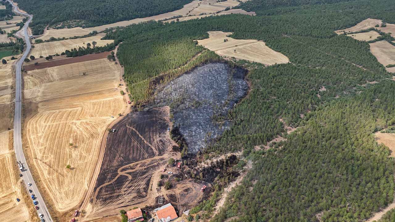 Banaz'da anızdan başlayıp ormana sıçrayan yangın kontrol söndürüldü