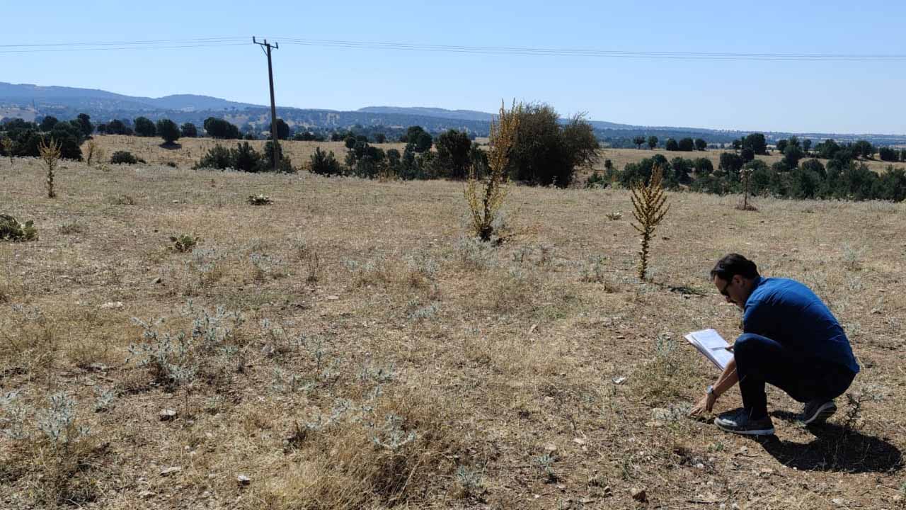Uşak’ta atıl tarım arazilerine neşter! Üretmeyen kiraya verecek