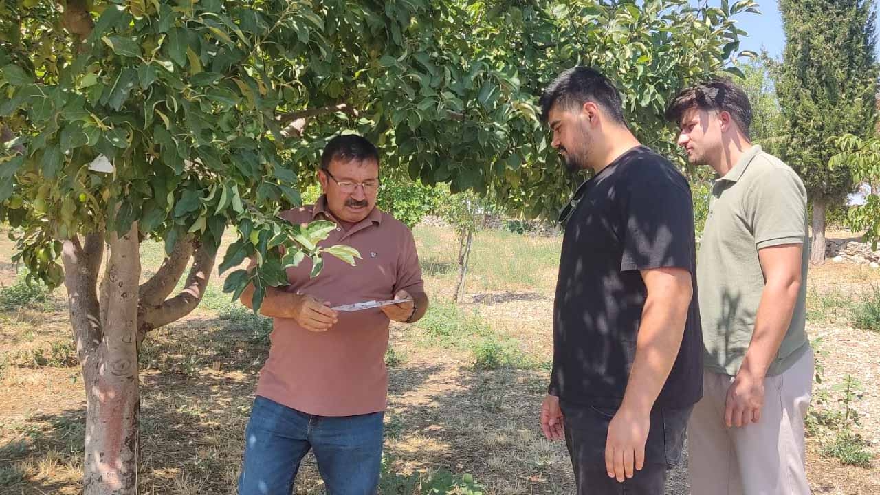 Uşak’ta zararlılarla mücadelede tarım ekipleri sahada