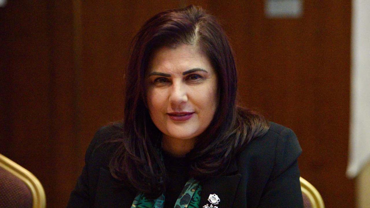 Özlem Çerçioğlu CHP'den istifa etti