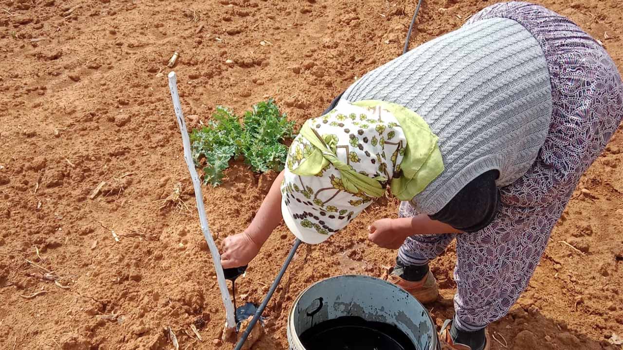 Uşak’ta verimli topraklar için yeni proje: “TKİ-HÜMAS” tanıtıldı