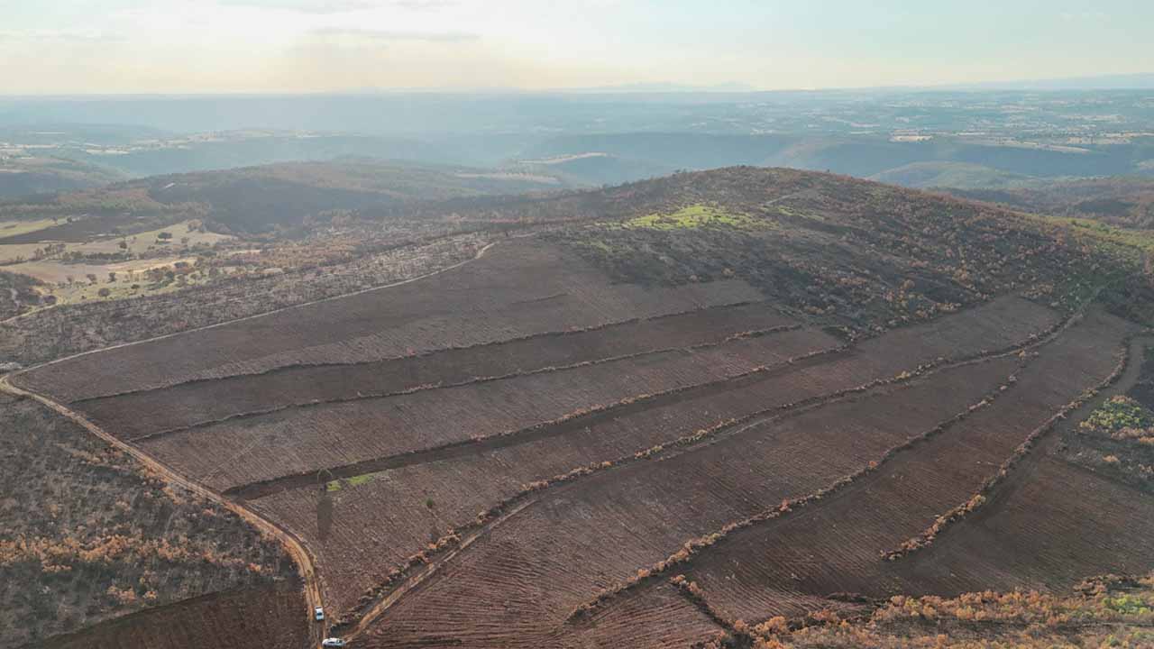 Uşak’ta 20 Yılda 85 milyon fidan toprakla buluştu