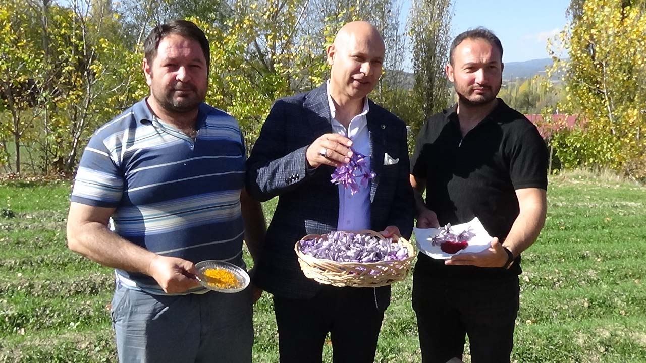 Uşak Ticaret Borsası’nın Projesi Meyvesini Verdi, Safran Çiftçiye Umut Oldu
