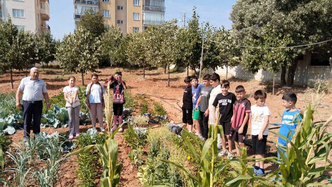 Banaz İlçe Müftülüğü'nün Örnek Projesi 8 Hafta Sürdü