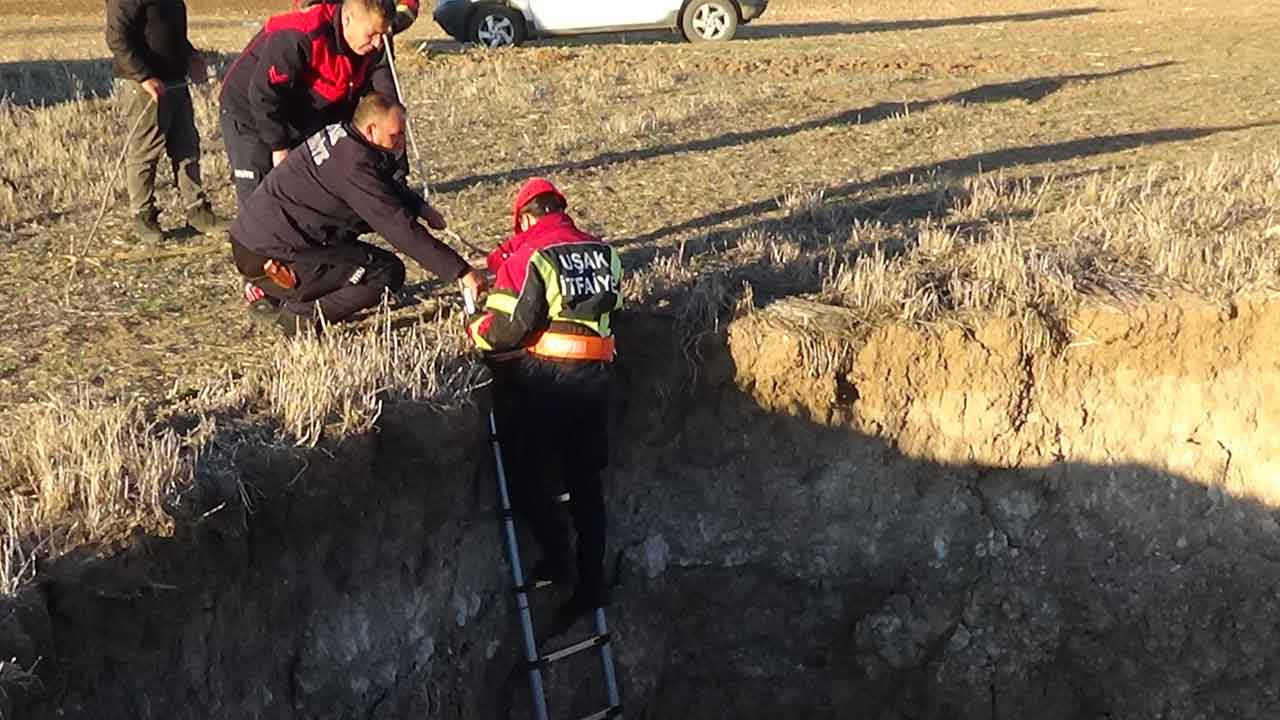 Uşak'ta kuyuya düşen keçinin yardımına itfaiye koştu