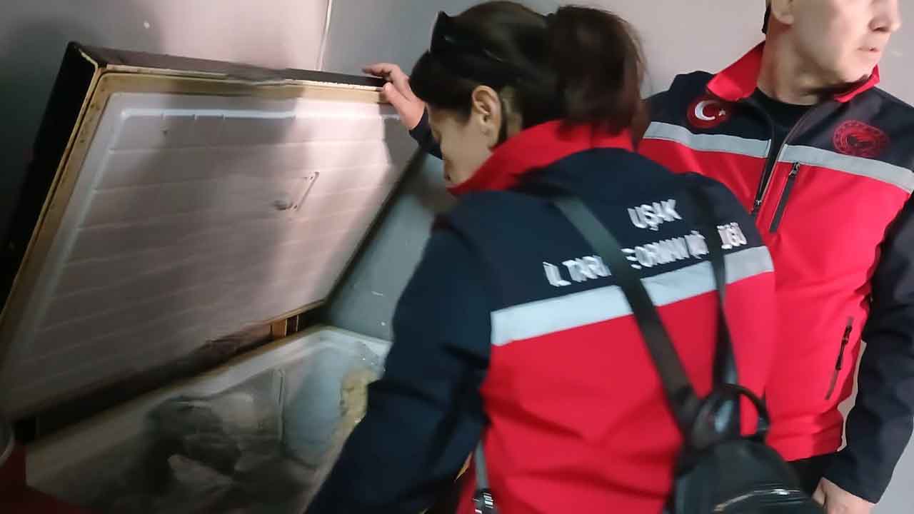 Uşak'ta 450 kilogram bozuk tavuk ele geçirildi
