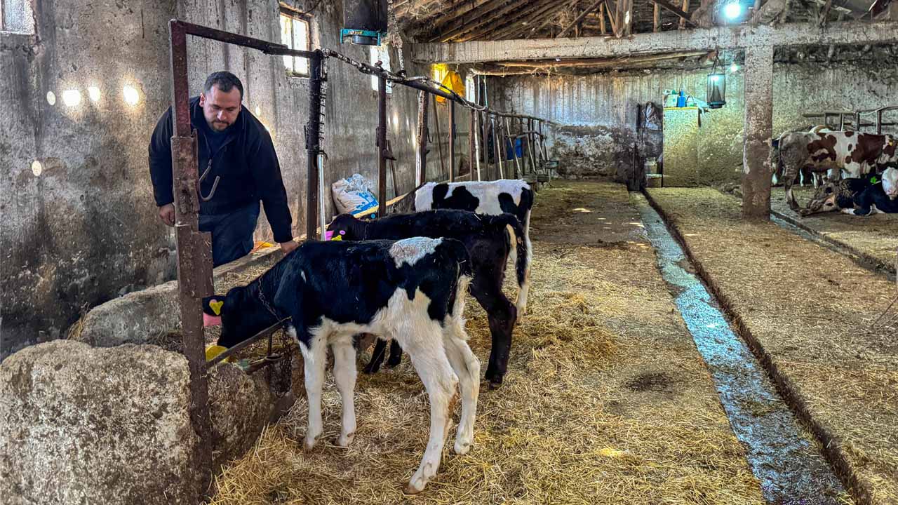 Uşak'ta 4 inekle hayvancılığa başlayan genç mühendis çiftliğini kurdu