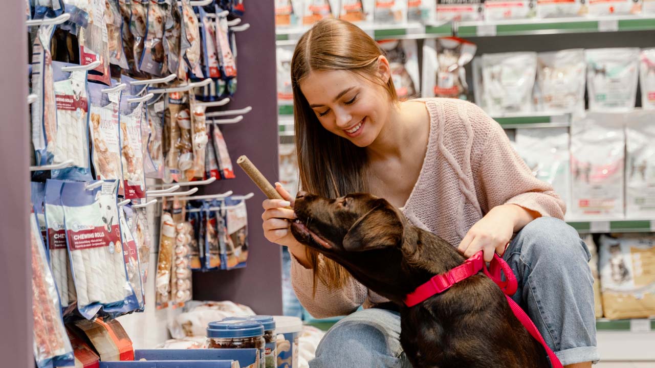Uşak Belediyesi’nden Petshop Sahiplerine Ücretsiz Eğitim Fırsatı