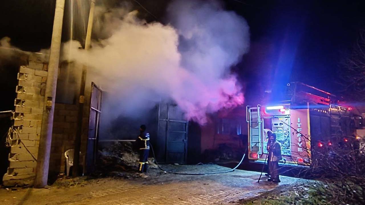 Banaz'da çıkan yangında 5 koyun telef oldu