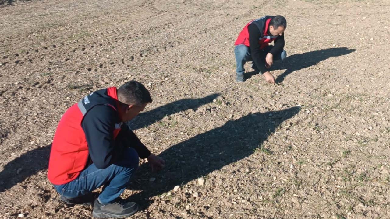 Uşak İl Tarım’dan Hububat Üreticilerine Önemli Duyuru