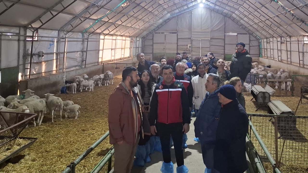Uşak İl Tarım’dan Küçükbaş Yetiştiricilere Uygulamalı Kurs