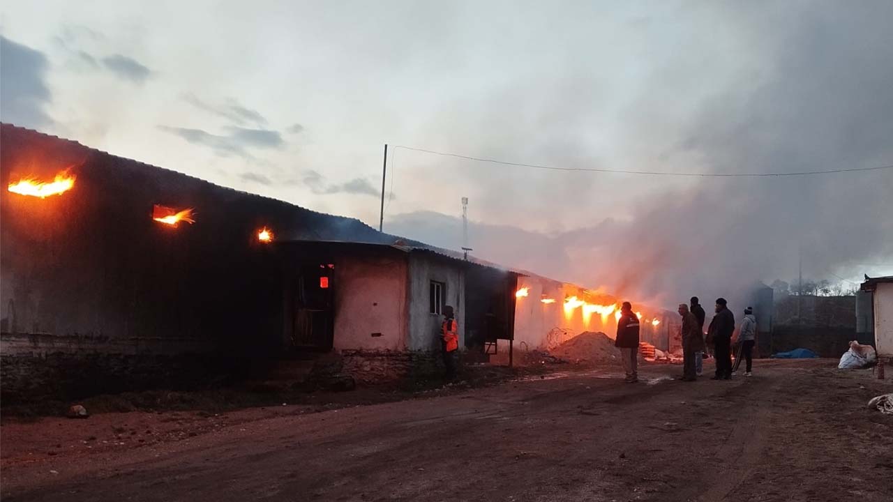 Uşak'ta tavuk çiftliğinde yangın çıktı