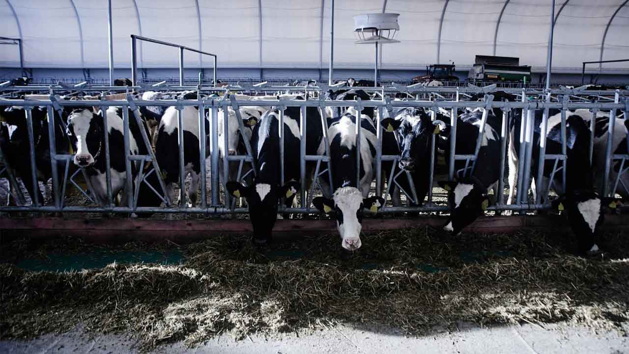 Uşak’a 14,2 Milyonluk Yatırım: Yayla Akar’dan Büyük Proje