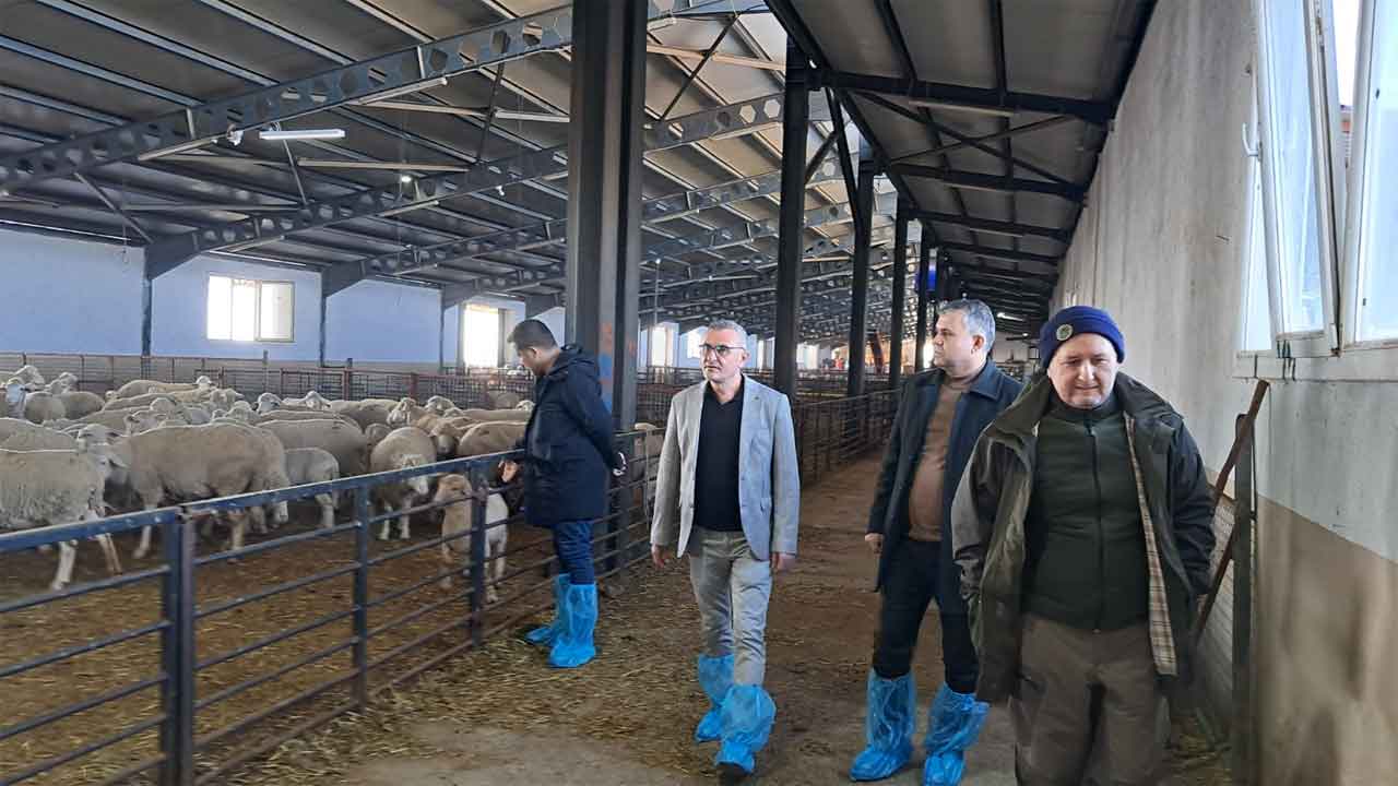 Uşak’ta Eş Zamanlı Çalışma: Sevkiyat Denetimi ve Kırsal Kalkınma Hamlesi